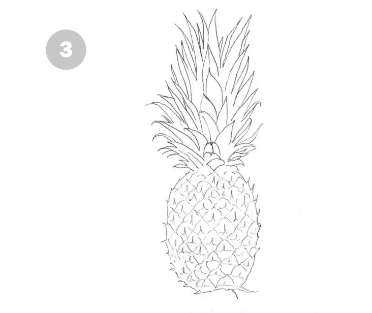нарисовать ананас карандашом 3