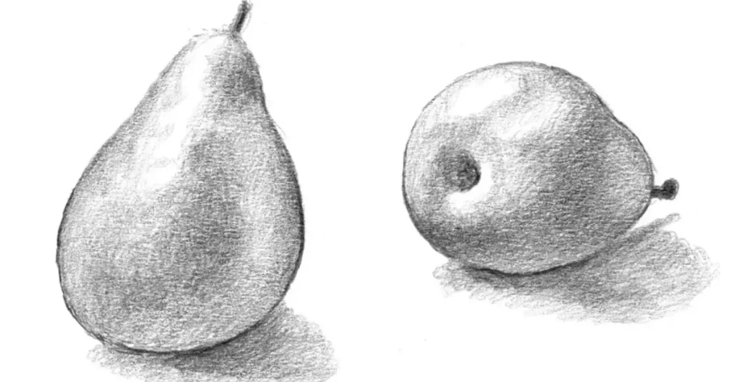 как нарисовать грушу карандашом поэтапно для начинающих