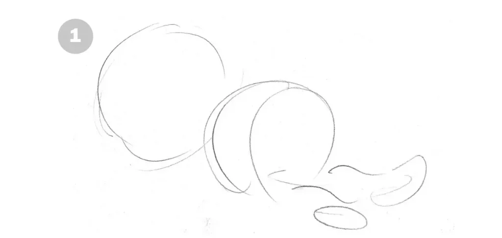 как нарисовать карандашом апельсин шаг 1