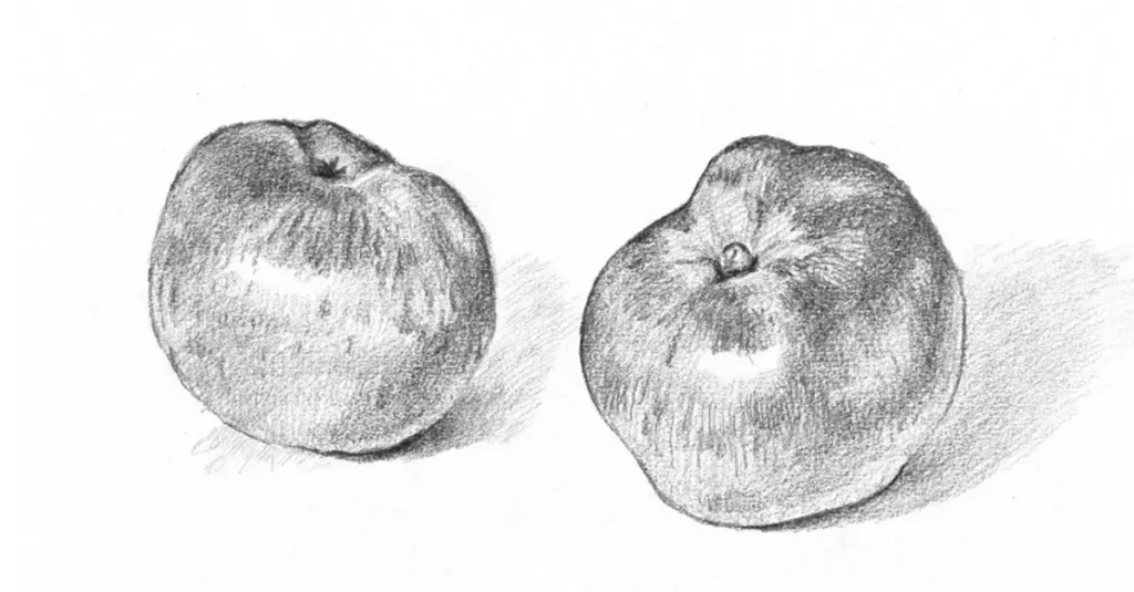 как нарисовать яблоко карандашом
