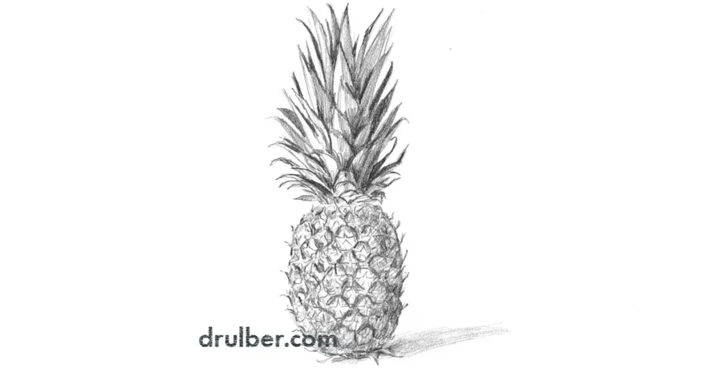 нарисовать ананас карандашом