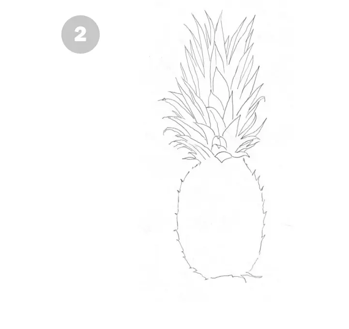 нарисовать ананас карандашом 2