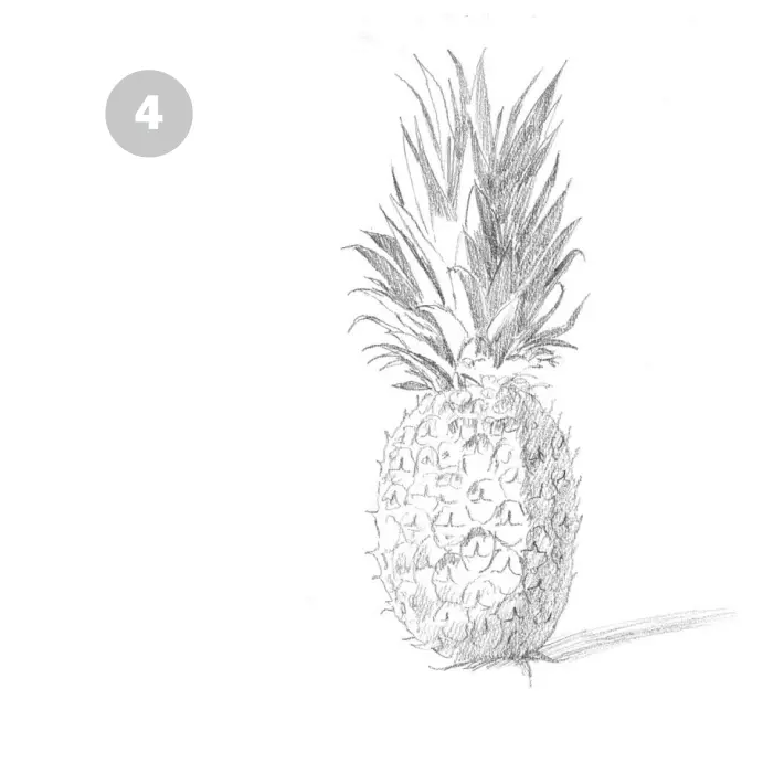нарисовать ананас карандашом 4