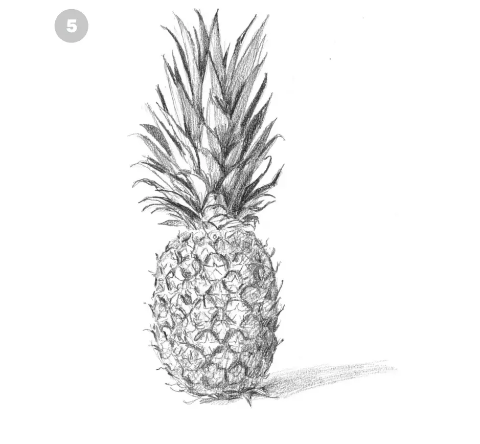 нарисовать ананас карандашом 5