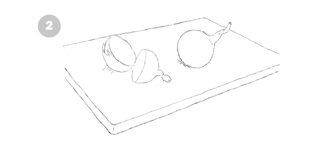 нарисовать луковицу карандашом 2