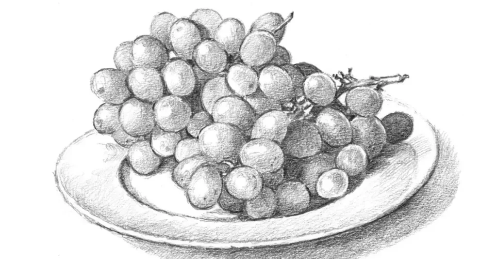 нарисовать виноград карандашом