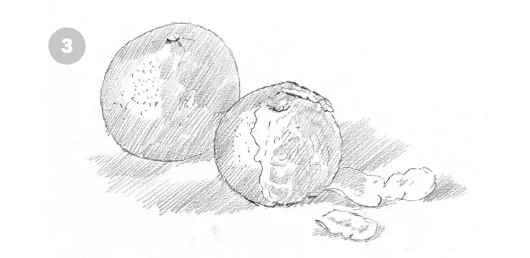 нарисовать апельсин карандашом - шаг 3